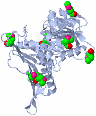 Image Biol. Unit 1 - sites