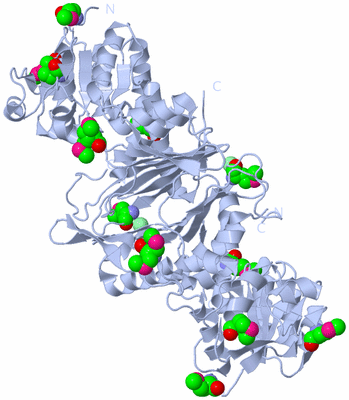 Image Biological Unit 2