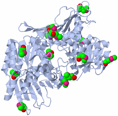 Image Biological Unit 3