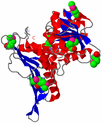 Image Asym. Unit - sites