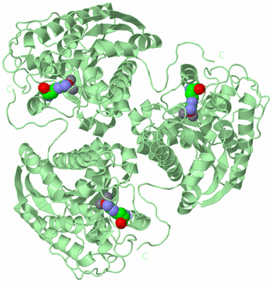 Image Biological Unit 2