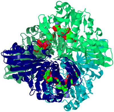 Image Asym./Biol. Unit