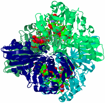 Image Asym./Biol. Unit - sites