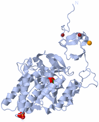 Image Biological Unit 1