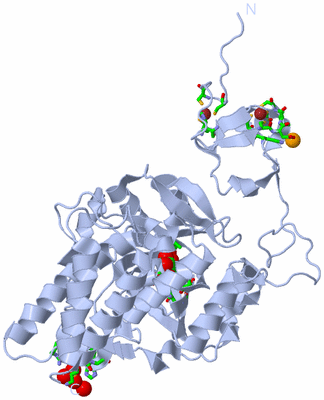 Image Biol. Unit 1 - sites