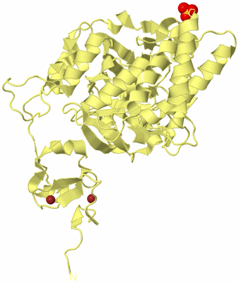 Image Biological Unit 2