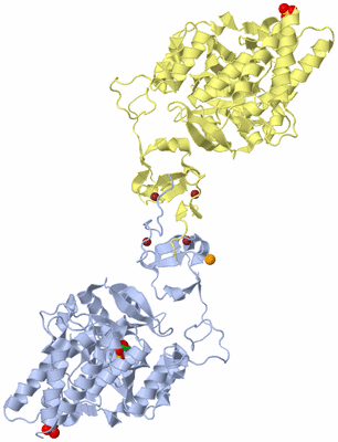 Image Biological Unit 3