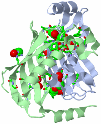 Image Asym./Biol. Unit - sites