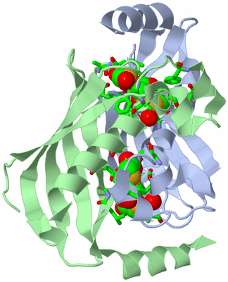 Image Asym./Biol. Unit - sites