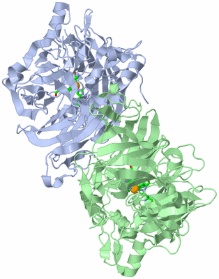 Image Asym./Biol. Unit - sites