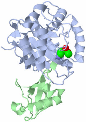 Image Asym./Biol. Unit