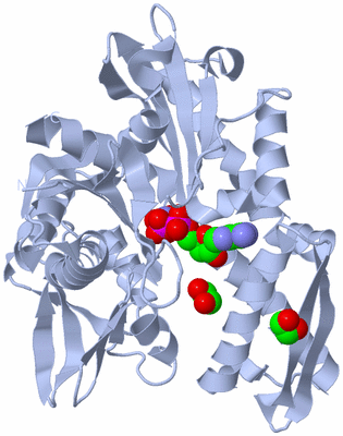 Image Biological Unit 1