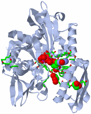 Image Biol. Unit 1 - sites