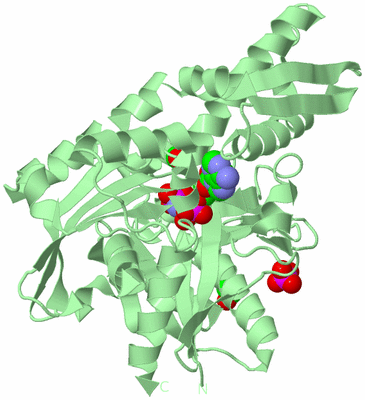 Image Biological Unit 2