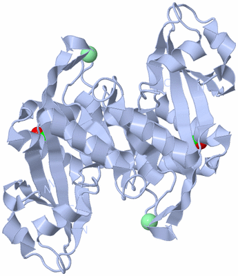 Image Biological Unit 1