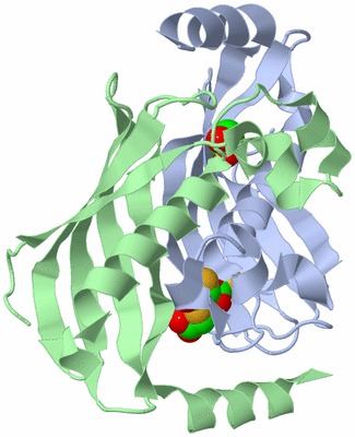 Image Asym./Biol. Unit