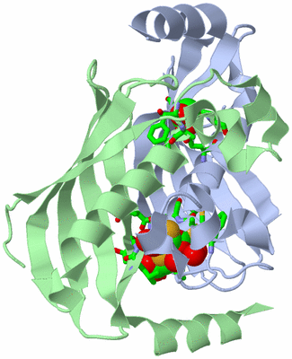 Image Asym./Biol. Unit - sites