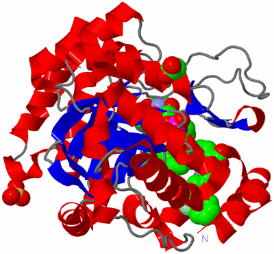 Image Asym./Biol. Unit