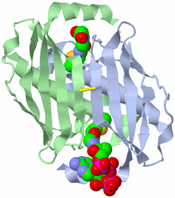 Image Biological Unit 1