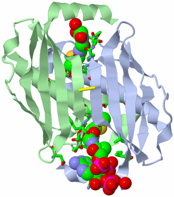 Image Biol. Unit 1 - sites