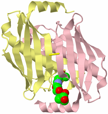 Image Biological Unit 2