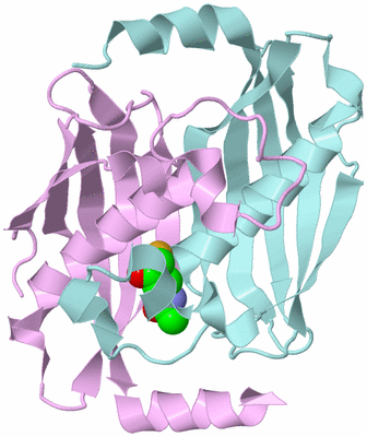 Image Biological Unit 3