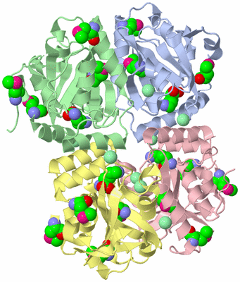 Image Asym./Biol. Unit