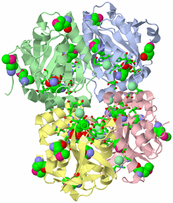 Image Asym./Biol. Unit - sites