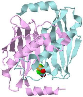 Image Biological Unit 3