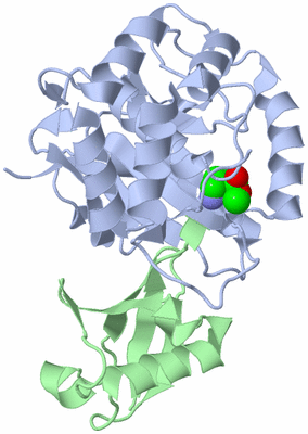 Image Asym./Biol. Unit