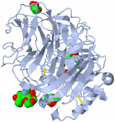 Image Biological Unit 1