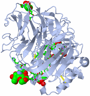 Image Biol. Unit 1 - sites