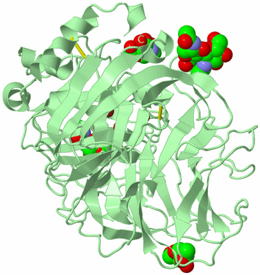 Image Biological Unit 2