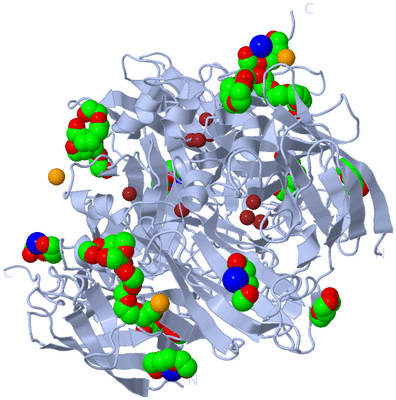 Image Biological Unit 1