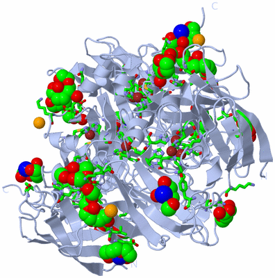 Image Biol. Unit 1 - sites