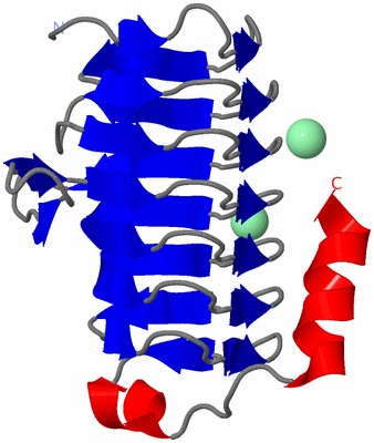 Image Asymmetric Unit