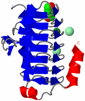 Image Asymmetric Unit