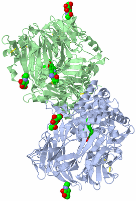 Image Asym./Biol. Unit