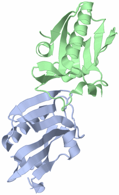 Image Biological Unit 3