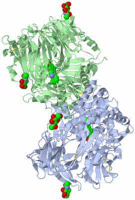 Image Asym./Biol. Unit