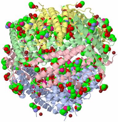 Image Biological Unit 1