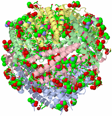 Image Biol. Unit 1 - sites