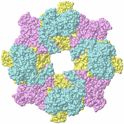 Image Biological Unit 2