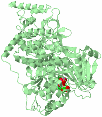 Image Biological Unit 1