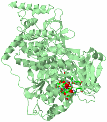 Image Biol. Unit 1 - sites