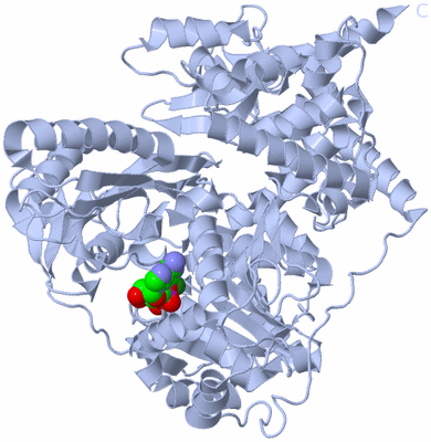 Image Biological Unit 2