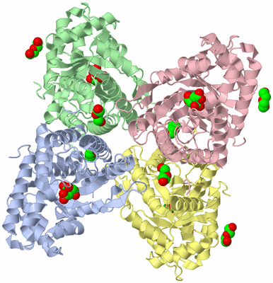 Image Asym./Biol. Unit