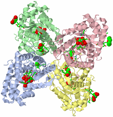 Image Asym./Biol. Unit - sites