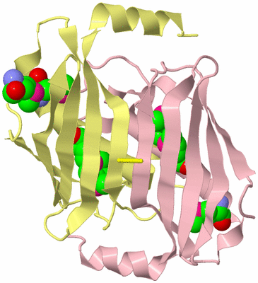 Image Biological Unit 2