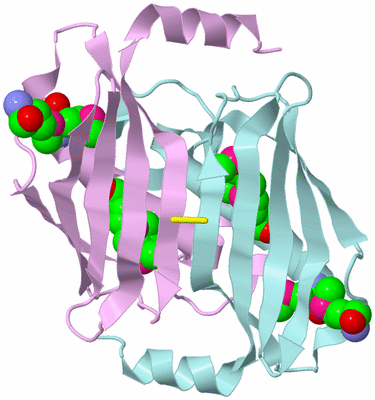 Image Biological Unit 3